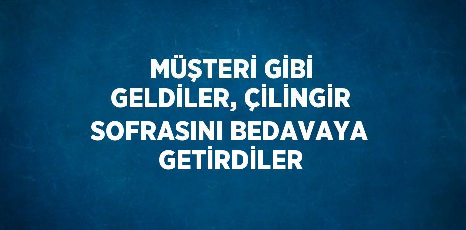 MÜŞTERİ GİBİ GELDİLER, ÇİLİNGİR SOFRASINI BEDAVAYA GETİRDİLER