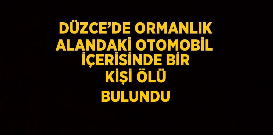 DÜZCE’DE ORMANLIK ALANDAKİ OTOMOBİL İÇERİSİNDE BİR KİŞİ ÖLÜ BULUNDU