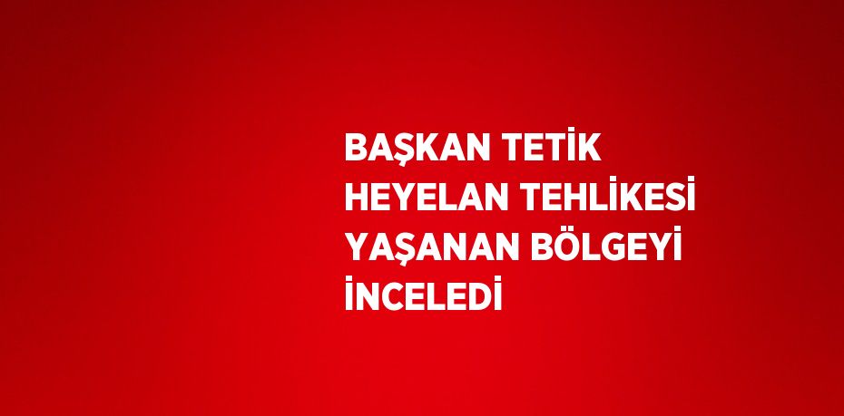 BAŞKAN TETİK HEYELAN TEHLİKESİ YAŞANAN BÖLGEYİ İNCELEDİ