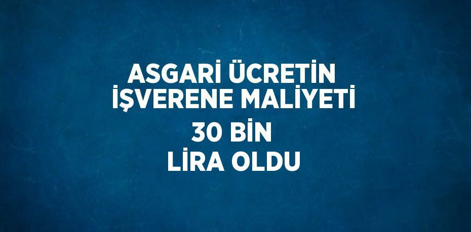 ASGARİ ÜCRETİN İŞVERENE MALİYETİ 30 BİN LİRA OLDU