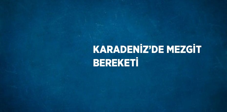 KARADENİZ’DE MEZGİT BEREKETİ