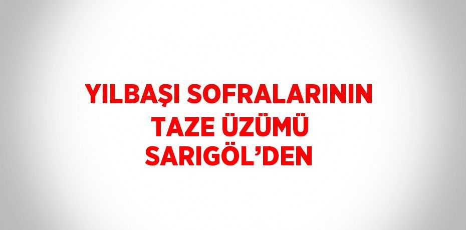 YILBAŞI SOFRALARININ TAZE ÜZÜMÜ SARIGÖL’DEN