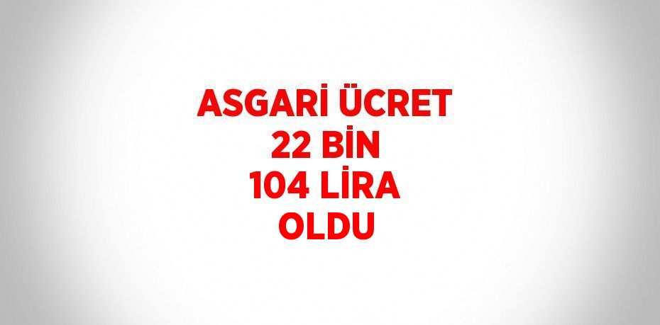 ASGARİ ÜCRET 22 BİN 104 LİRA OLDU