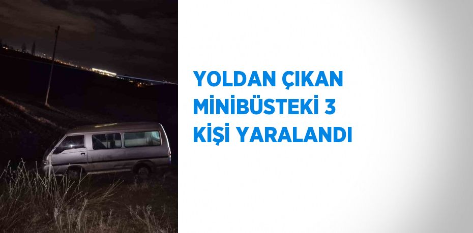 YOLDAN ÇIKAN MİNİBÜSTEKİ 3 KİŞİ YARALANDI