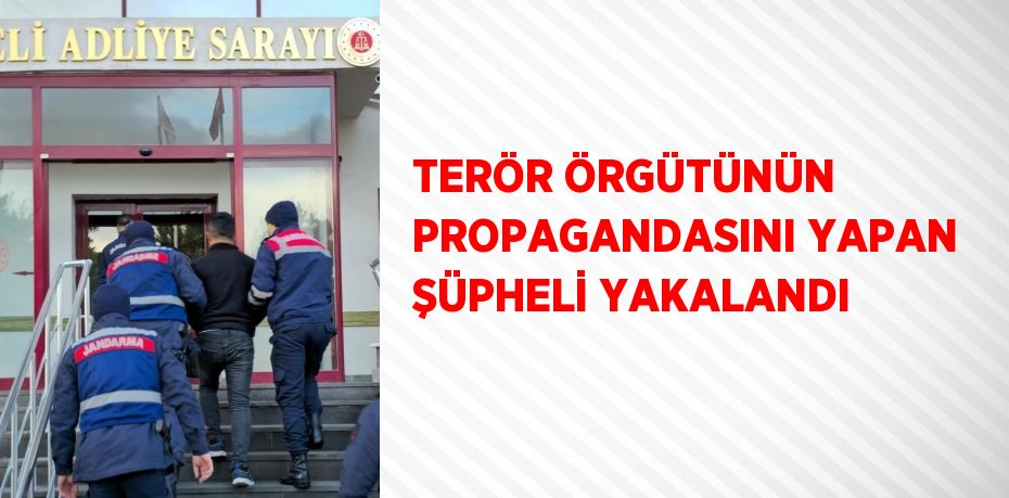 TERÖR ÖRGÜTÜNÜN PROPAGANDASINI YAPAN ŞÜPHELİ YAKALANDI