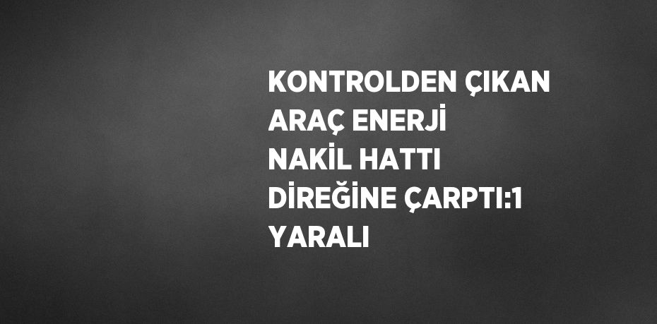 KONTROLDEN ÇIKAN ARAÇ ENERJİ NAKİL HATTI DİREĞİNE ÇARPTI:1 YARALI