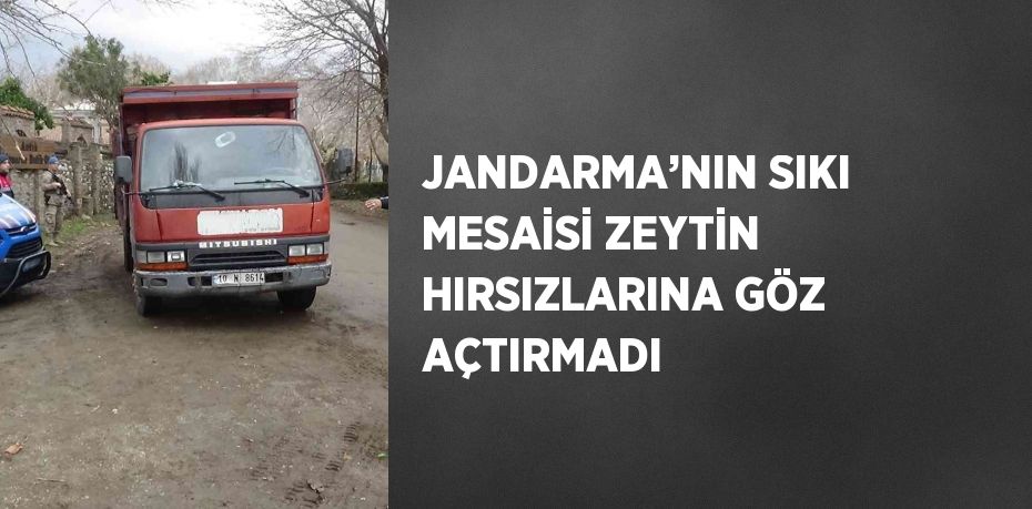 JANDARMA’NIN SIKI MESAİSİ ZEYTİN HIRSIZLARINA GÖZ AÇTIRMADI