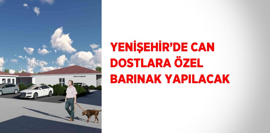 YENİŞEHİR’DE CAN DOSTLARA ÖZEL BARINAK YAPILACAK