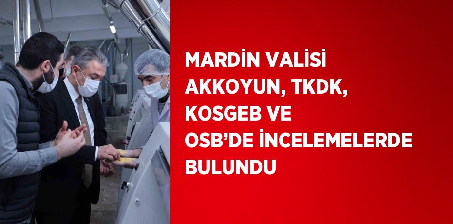 MARDİN VALİSİ AKKOYUN, TKDK, KOSGEB VE OSB’DE İNCELEMELERDE BULUNDU