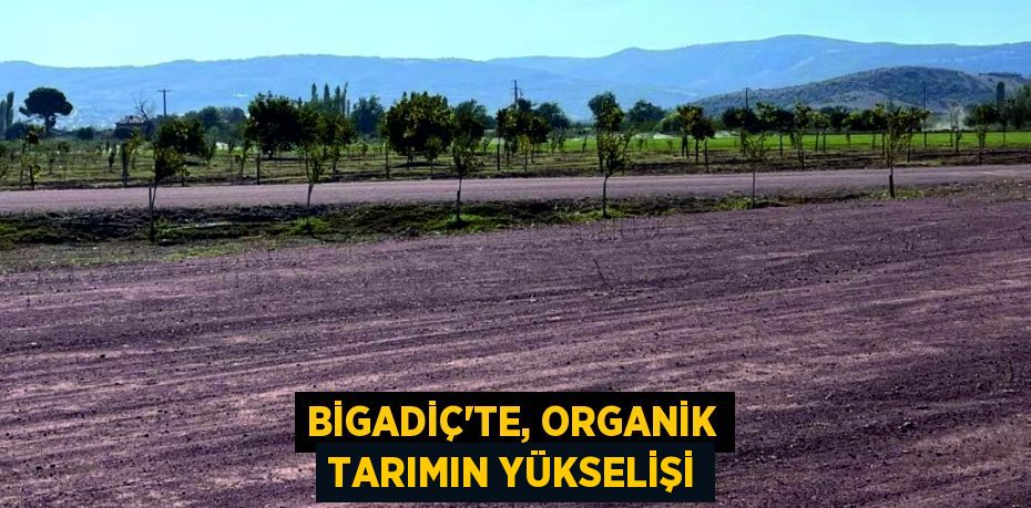 BİGADİÇ’TE, ORGANİK TARIMIN YÜKSELİŞİ