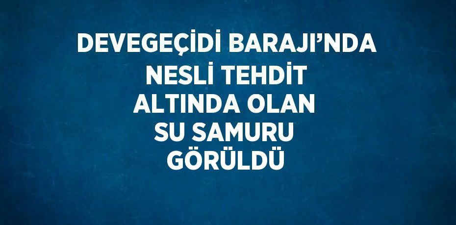 DEVEGEÇİDİ BARAJI’NDA NESLİ TEHDİT ALTINDA OLAN SU SAMURU GÖRÜLDÜ