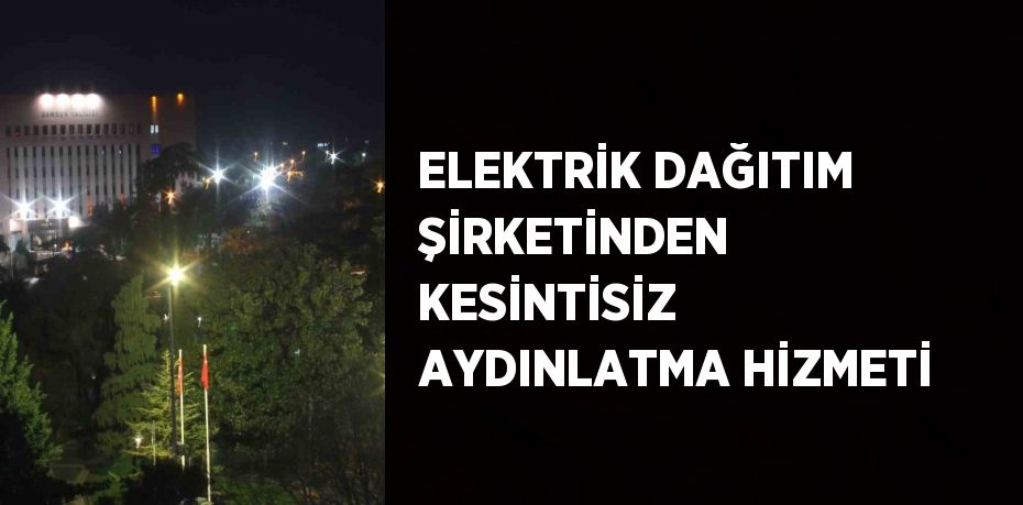 ELEKTRİK DAĞITIM ŞİRKETİNDEN KESİNTİSİZ AYDINLATMA HİZMETİ