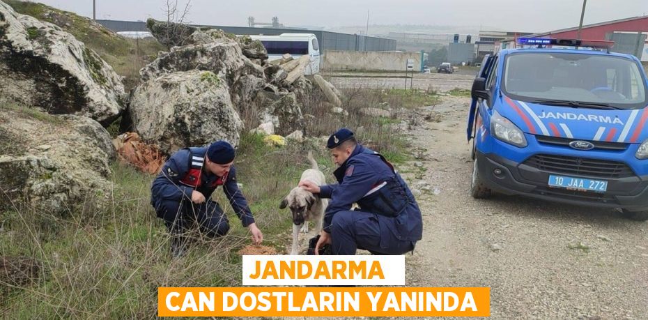 JANDARMA  CAN DOSTLARIN YANINDA