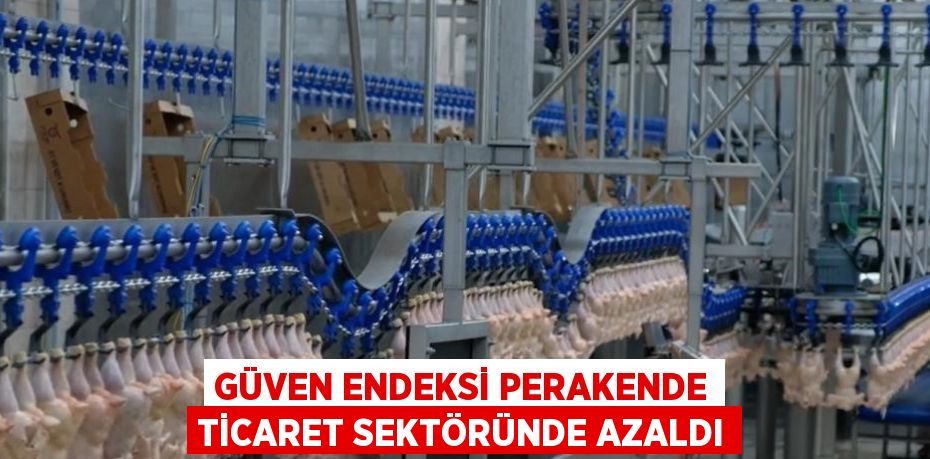 GÜVEN ENDEKSİ PERAKENDE TİCARET SEKTÖRÜNDE AZALDI