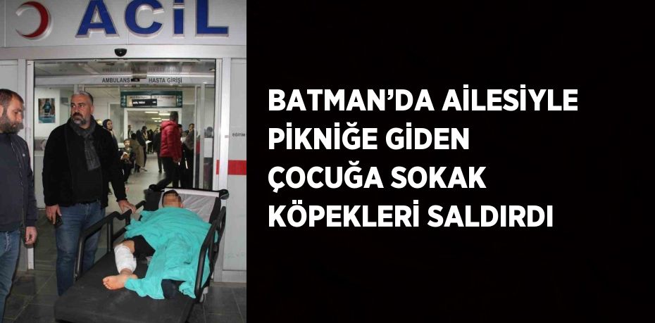 BATMAN’DA AİLESİYLE PİKNİĞE GİDEN ÇOCUĞA SOKAK KÖPEKLERİ SALDIRDI