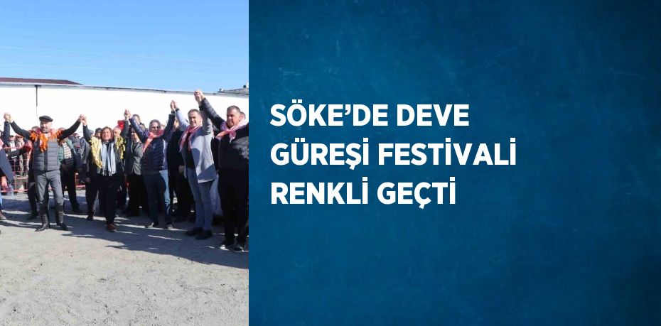 SÖKE’DE DEVE GÜREŞİ FESTİVALİ RENKLİ GEÇTİ