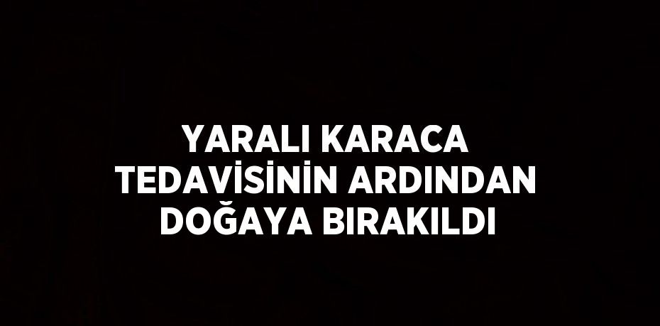 YARALI KARACA TEDAVİSİNİN ARDINDAN DOĞAYA BIRAKILDI