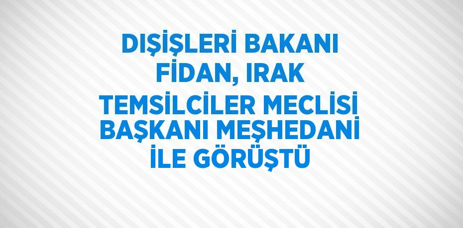 DIŞİŞLERİ BAKANI FİDAN, IRAK TEMSİLCİLER MECLİSİ BAŞKANI MEŞHEDANİ İLE GÖRÜŞTÜ