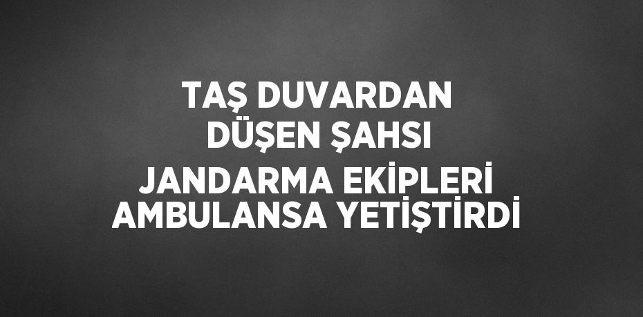 TAŞ DUVARDAN DÜŞEN ŞAHSI JANDARMA EKİPLERİ AMBULANSA YETİŞTİRDİ