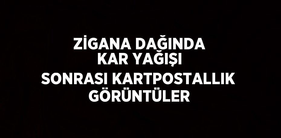 ZİGANA DAĞINDA KAR YAĞIŞI SONRASI KARTPOSTALLIK GÖRÜNTÜLER