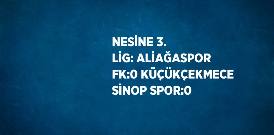 NESİNE 3. LİG: ALİAĞASPOR FK:0 KÜÇÜKÇEKMECE SİNOP SPOR:0