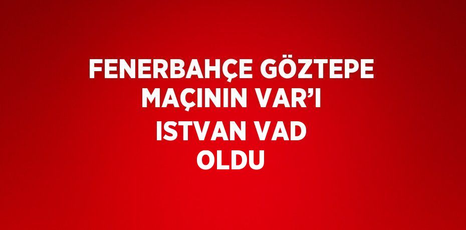 FENERBAHÇE GÖZTEPE MAÇININ VAR’I ISTVAN VAD OLDU
