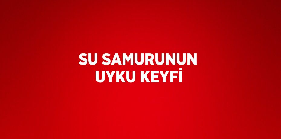 SU SAMURUNUN UYKU KEYFİ