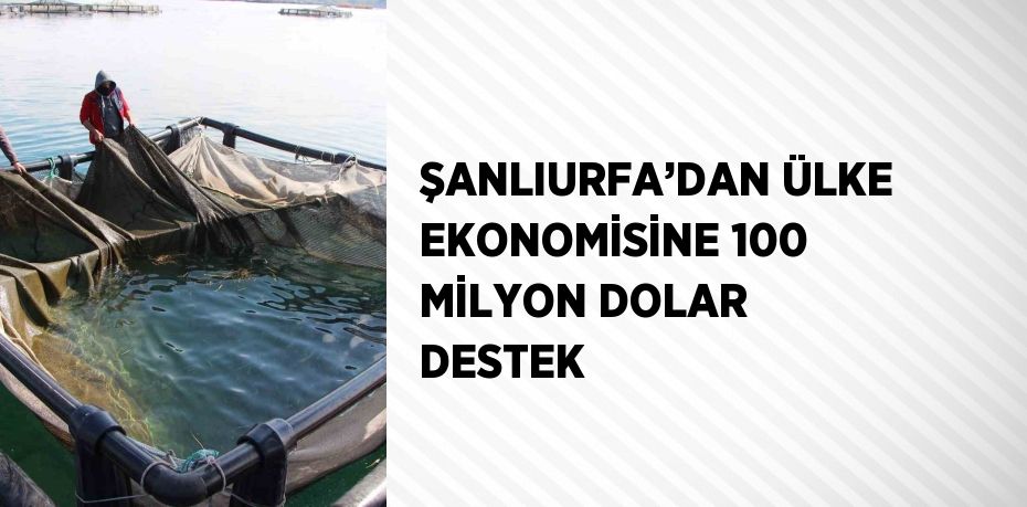 ŞANLIURFA’DAN ÜLKE EKONOMİSİNE 100 MİLYON DOLAR DESTEK