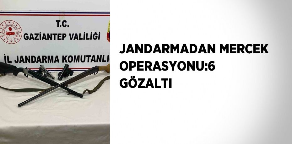 JANDARMADAN MERCEK OPERASYONU:6 GÖZALTI