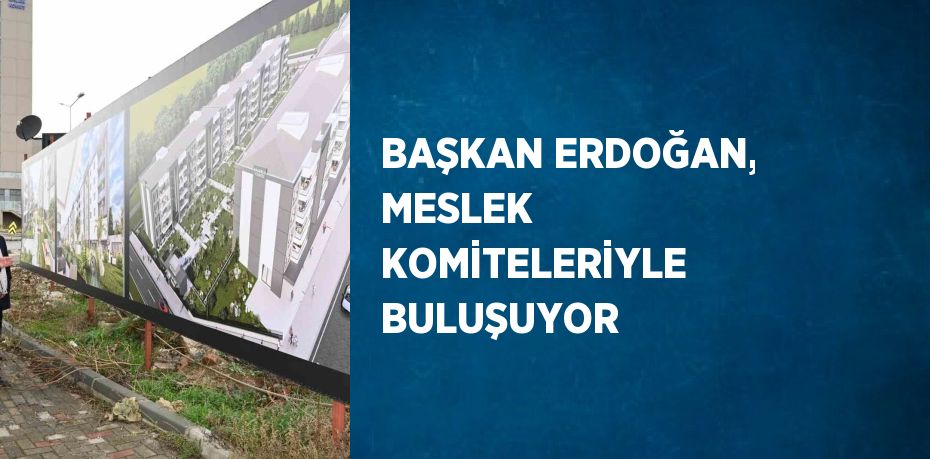 BAŞKAN ERDOĞAN, MESLEK KOMİTELERİYLE BULUŞUYOR