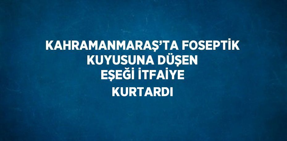 KAHRAMANMARAŞ’TA FOSEPTİK KUYUSUNA DÜŞEN EŞEĞİ İTFAİYE KURTARDI