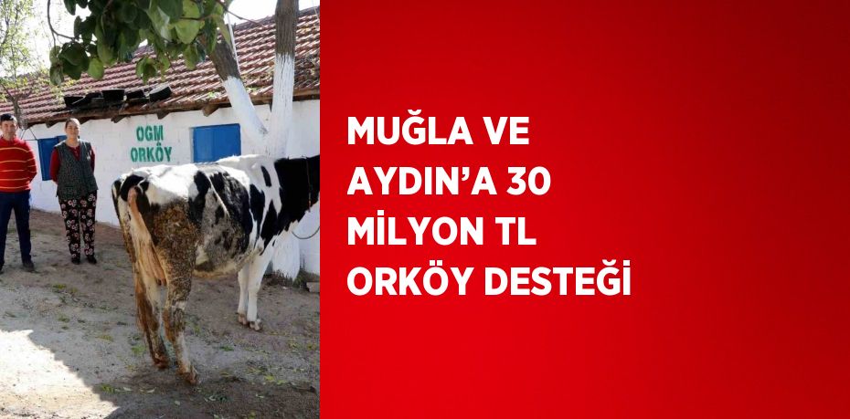 MUĞLA VE AYDIN’A 30 MİLYON TL ORKÖY DESTEĞİ