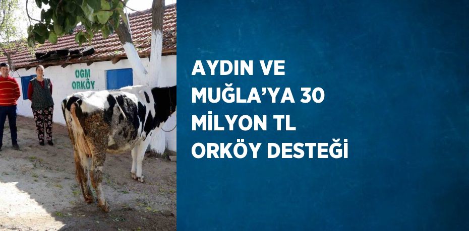 AYDIN VE MUĞLA’YA 30 MİLYON TL ORKÖY DESTEĞİ