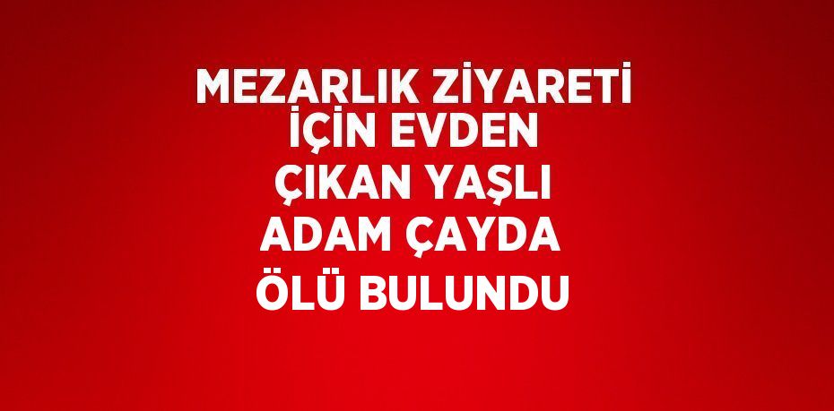 MEZARLIK ZİYARETİ İÇİN EVDEN ÇIKAN YAŞLI ADAM ÇAYDA ÖLÜ BULUNDU