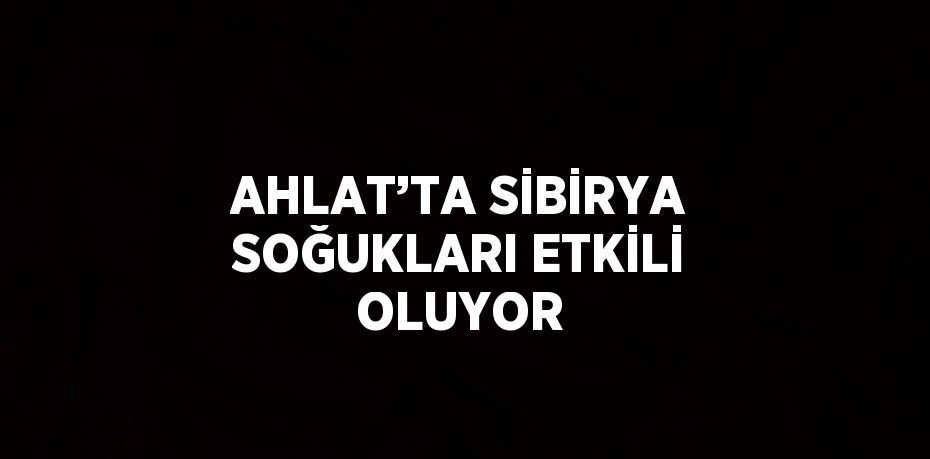 AHLAT’TA SİBİRYA SOĞUKLARI ETKİLİ OLUYOR