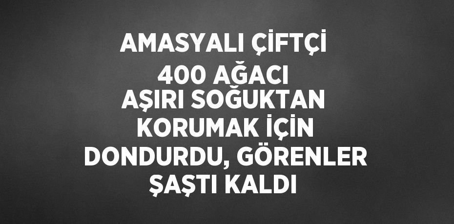 AMASYALI ÇİFTÇİ 400 AĞACI AŞIRI SOĞUKTAN KORUMAK İÇİN DONDURDU, GÖRENLER ŞAŞTI KALDI