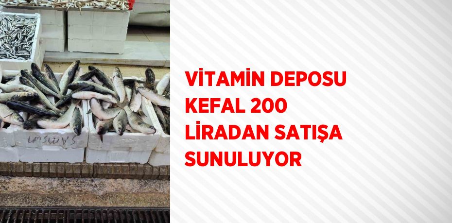 VİTAMİN DEPOSU KEFAL 200 LİRADAN SATIŞA SUNULUYOR