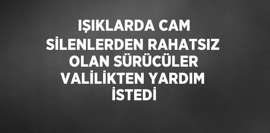 IŞIKLARDA CAM SİLENLERDEN RAHATSIZ OLAN SÜRÜCÜLER VALİLİKTEN YARDIM İSTEDİ