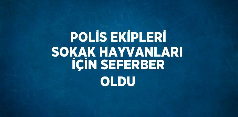 POLİS EKİPLERİ SOKAK HAYVANLARI İÇİN SEFERBER OLDU