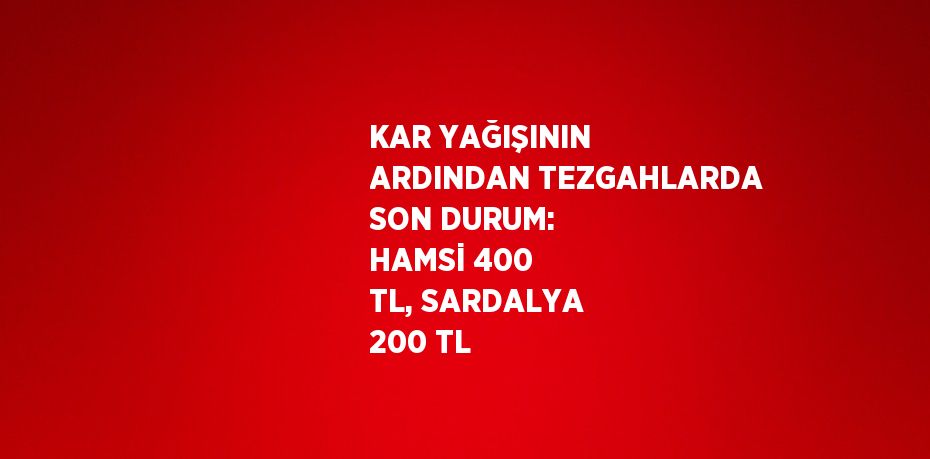 KAR YAĞIŞININ ARDINDAN TEZGAHLARDA SON DURUM: HAMSİ 400 TL, SARDALYA 200 TL