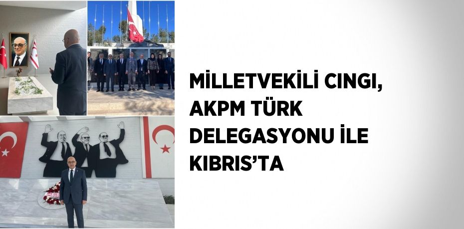 MİLLETVEKİLİ CINGI, AKPM TÜRK DELEGASYONU İLE KIBRIS’TA