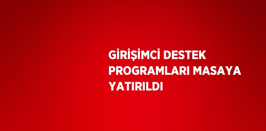 GİRİŞİMCİ DESTEK PROGRAMLARI MASAYA YATIRILDI