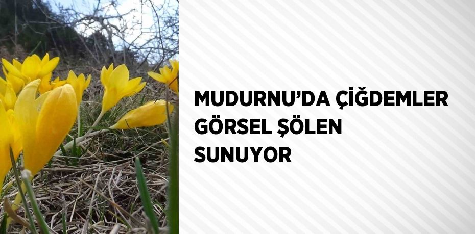 MUDURNU’DA ÇİĞDEMLER GÖRSEL ŞÖLEN SUNUYOR