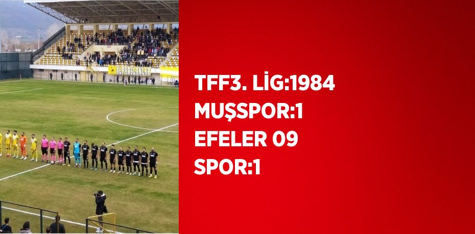 TFF3. LİG:1984 MUŞSPOR:1  EFELER 09 SPOR:1