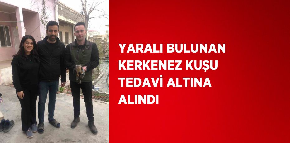 YARALI BULUNAN KERKENEZ KUŞU TEDAVİ ALTINA ALINDI