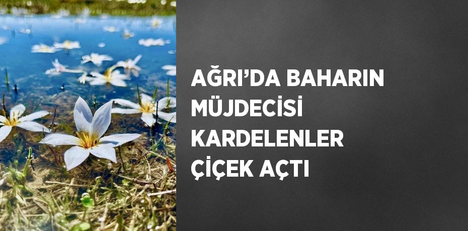 AĞRI’DA BAHARIN MÜJDECİSİ KARDELENLER ÇİÇEK AÇTI