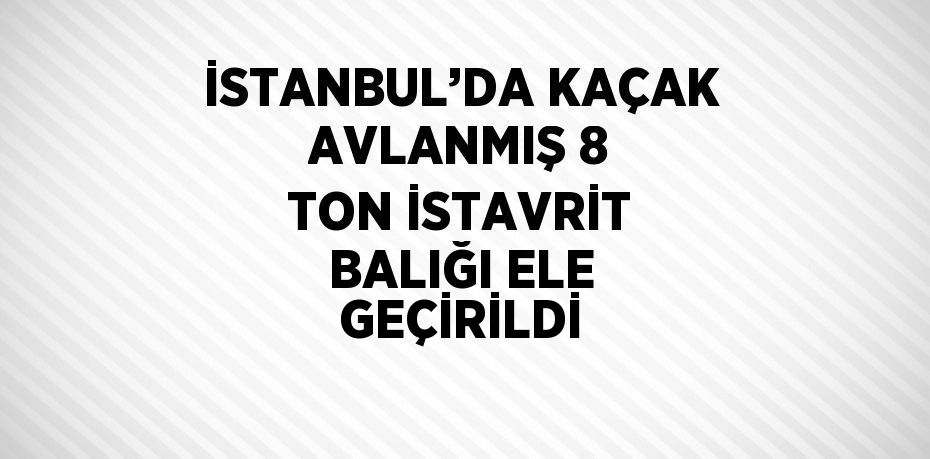 İSTANBUL’DA KAÇAK AVLANMIŞ 8 TON İSTAVRİT BALIĞI ELE GEÇİRİLDİ