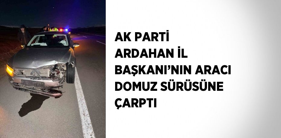 AK PARTİ ARDAHAN İL BAŞKANI’NIN ARACI DOMUZ SÜRÜSÜNE ÇARPTI