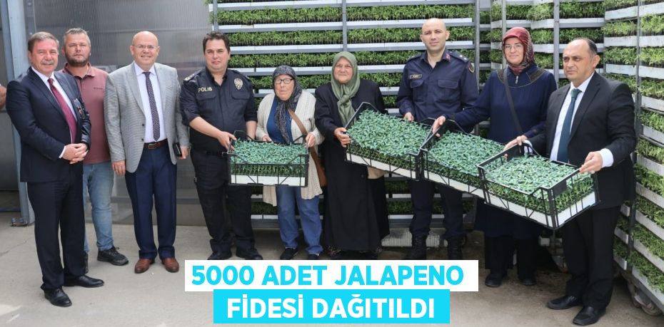 5000 ADET JALAPENO  FİDESİ DAĞITILDI