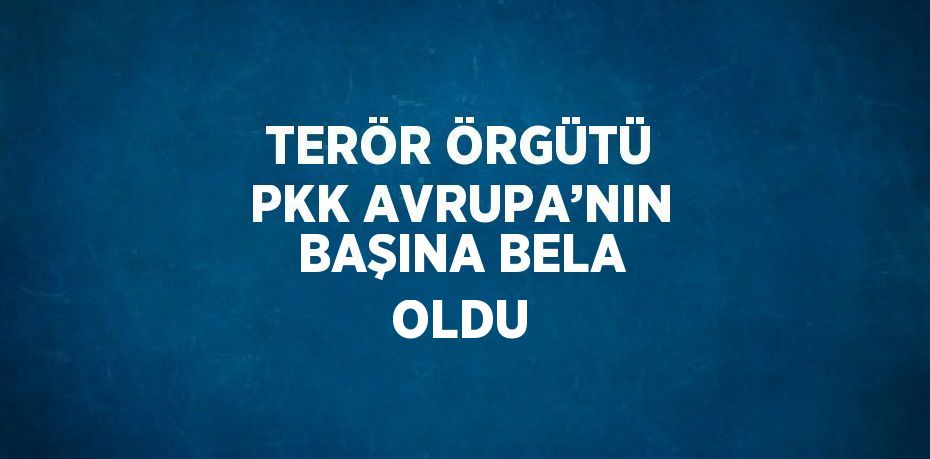 TERÖR ÖRGÜTÜ PKK AVRUPA’NIN BAŞINA BELA OLDU